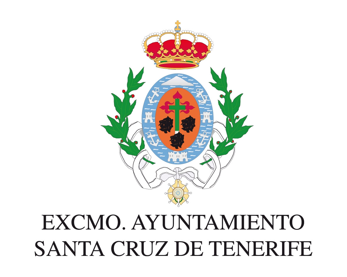 Web Ayuntamiento de Santa Cruz
